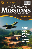 PDF of the November 2025 newsletter